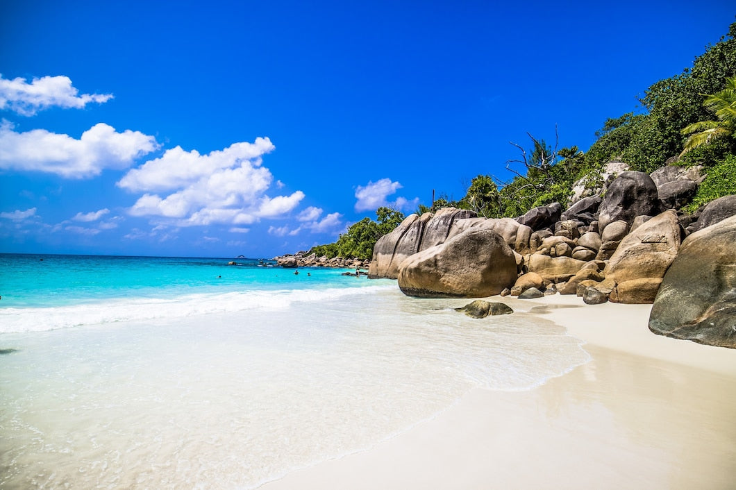 Men in Bikini in Beach