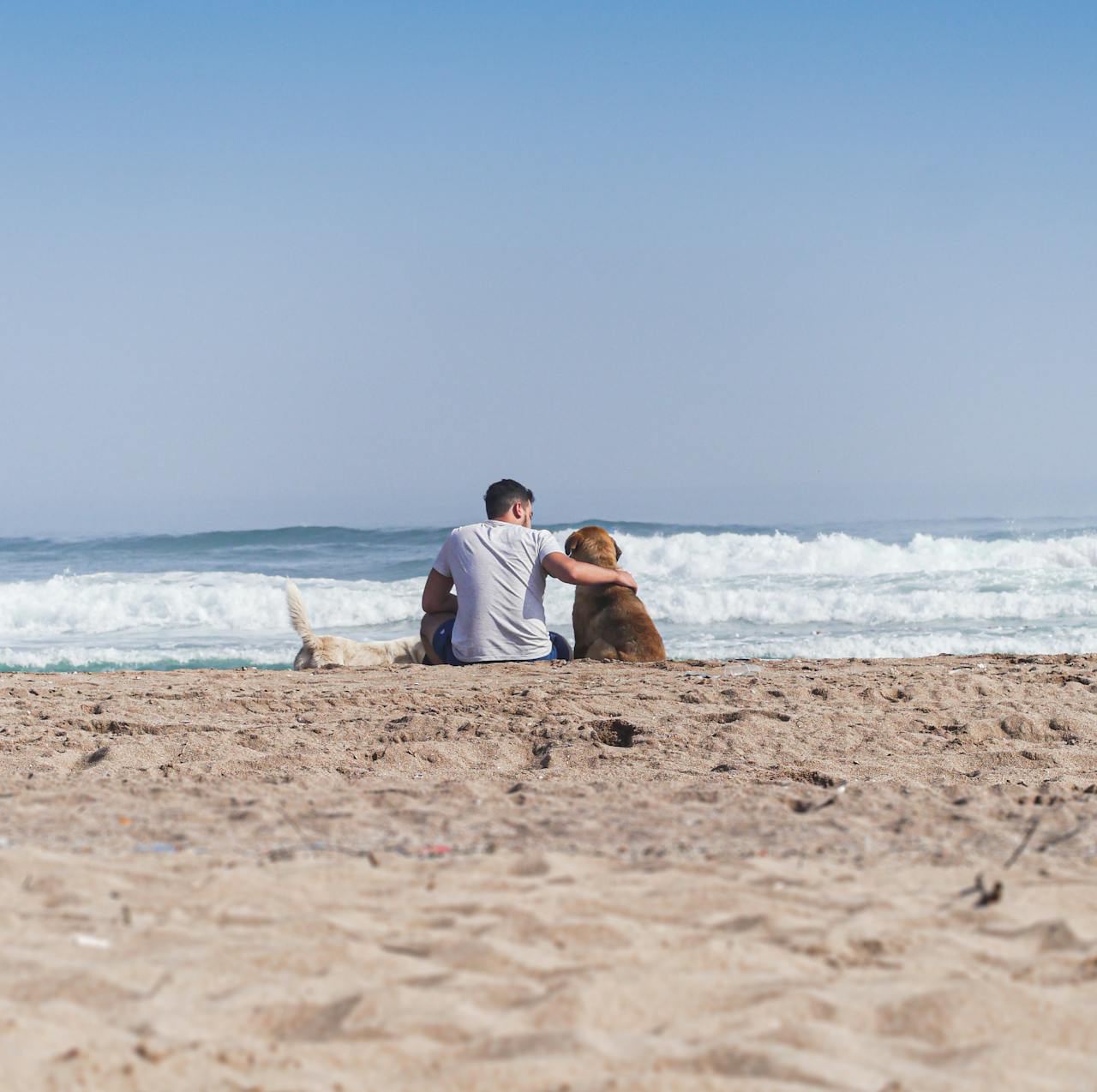 Best Men's Bikini Brief Underwear - RMAC