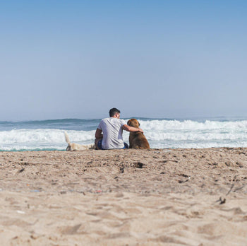 Best Men's Bikini Brief Underwear - RMAC